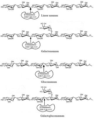 Applications of Microbial β-Mannanases